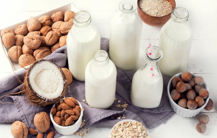 vegan cheese substitutes vegan cheese substitutes