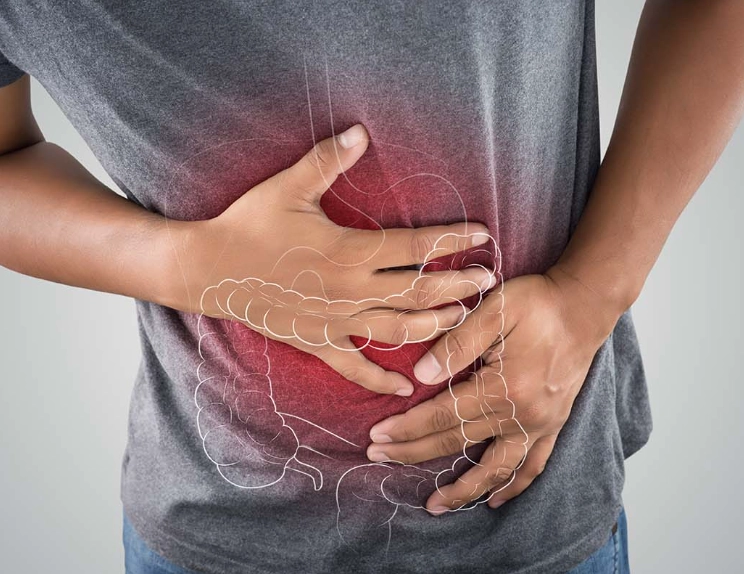 hormones and digestion hormones and digestion