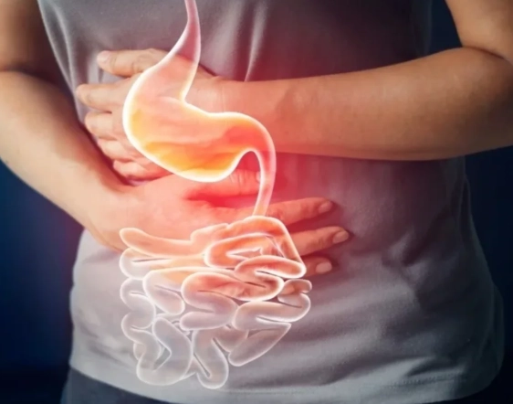 hormones and digestion hormones and digestion