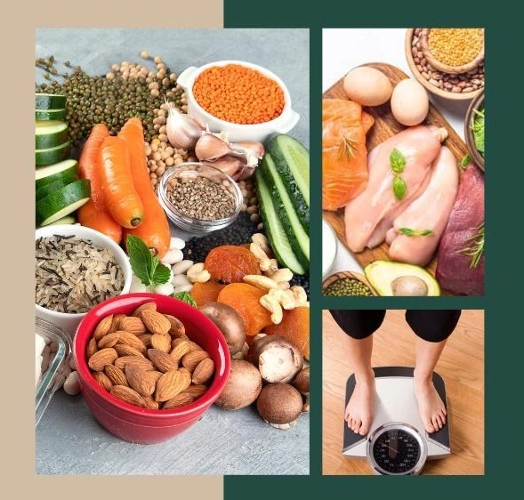 women high protein meal plan women high protein meal plan