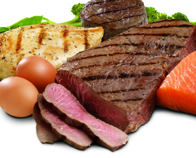 women high protein meal plan women high protein meal plan