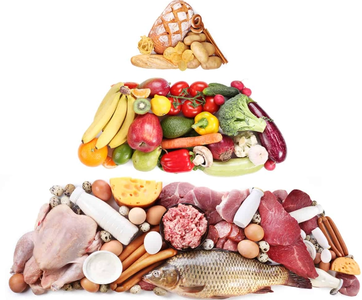 low carb diet for women low carb diet for women