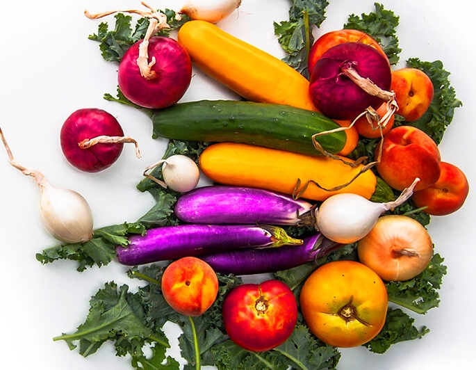 plant based diet women plant based diet women