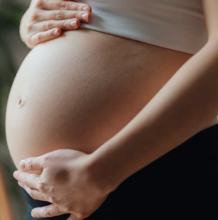 fertility window after menstruation