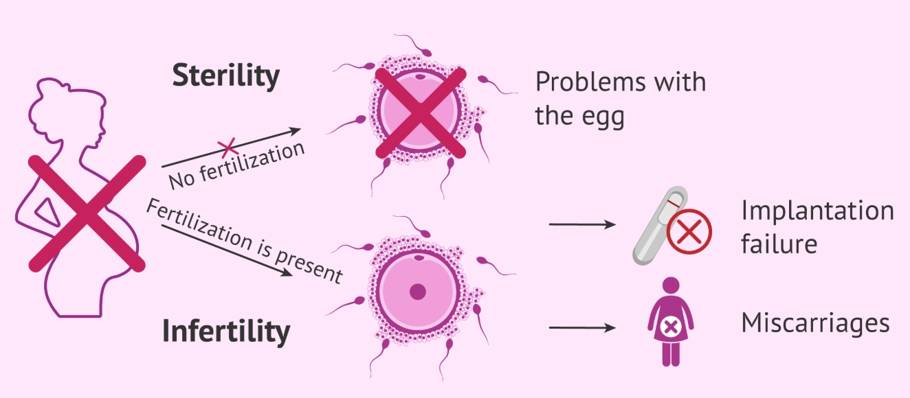 improving female fertility naturally improving female fertility naturally