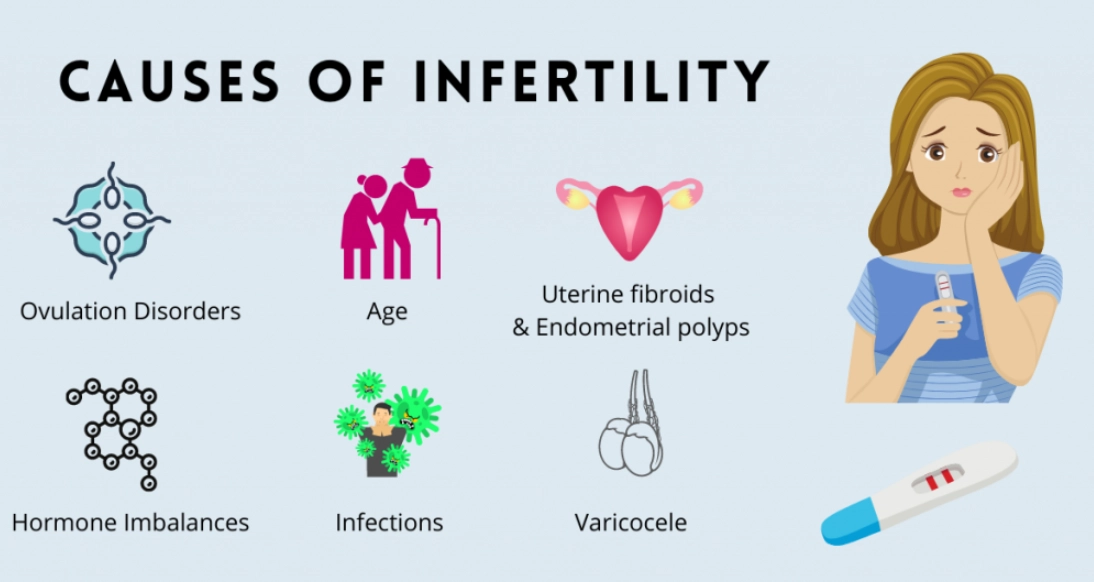 female infertility causes female infertility causes