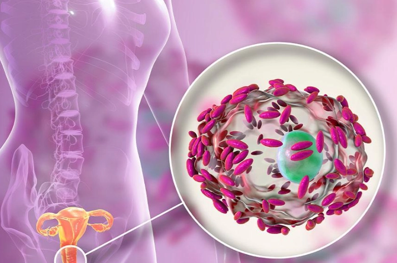 bacterial vaginosis vs yeast infection