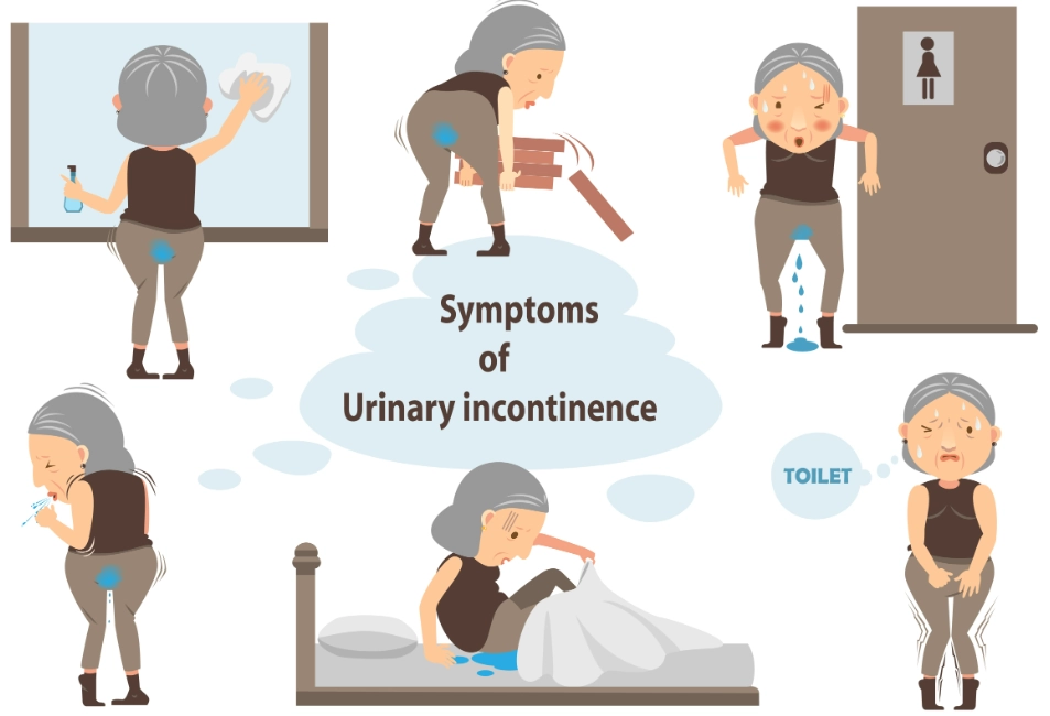 bladder control problems women bladder control problems women