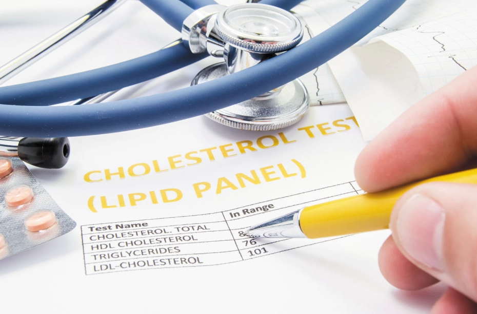best diet for cholesterol