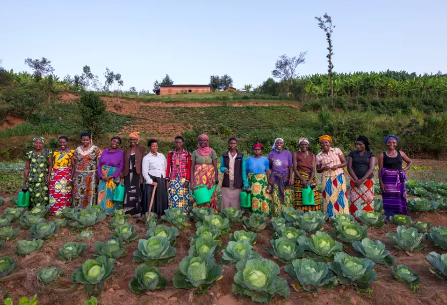 eco-friendly lifestyle tips eco-friendly lifestyle tips