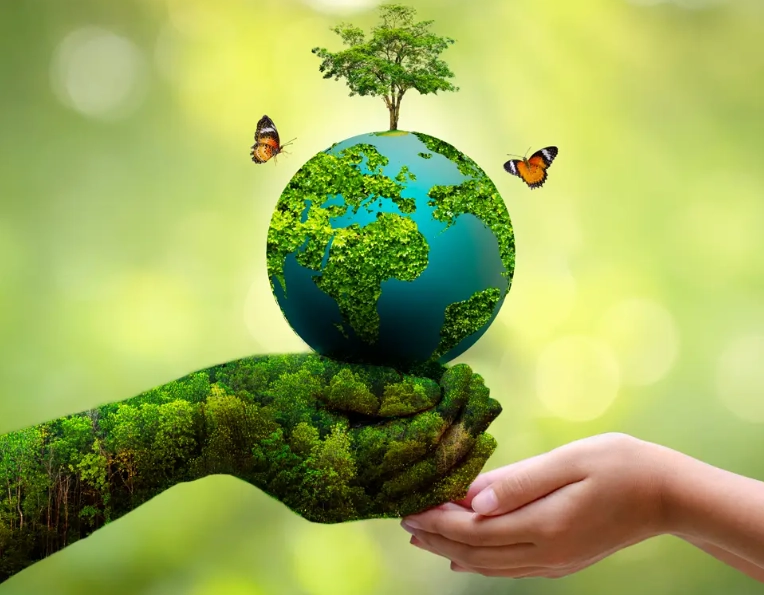 women's environmental health