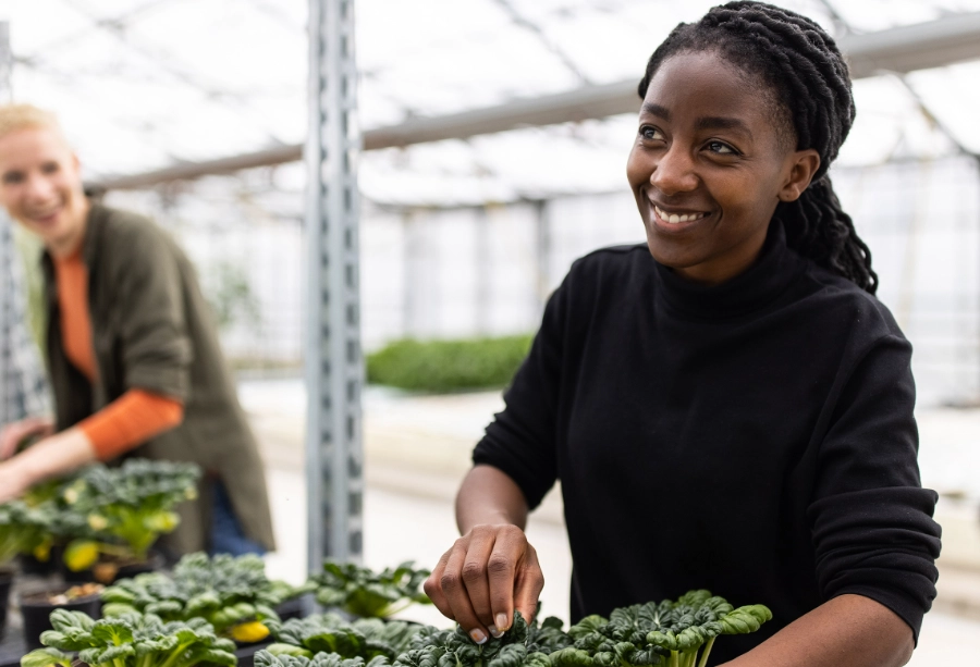 toxic chemicals women