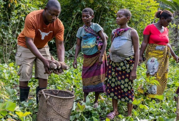 eco-friendly lifestyle tips eco-friendly lifestyle tips