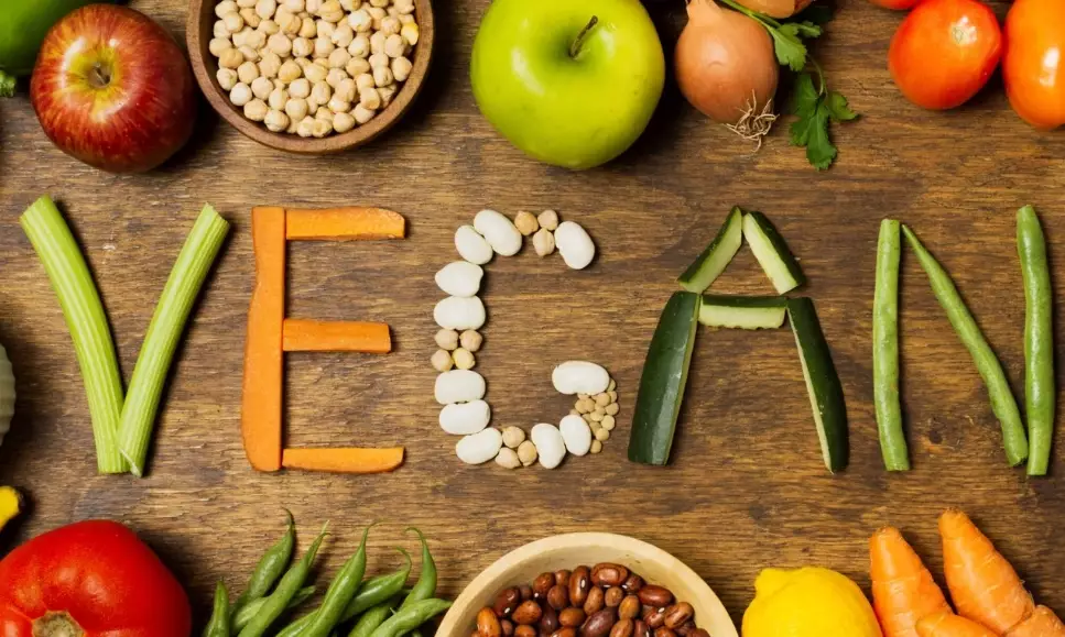 plant based diet tips plant based diet tips