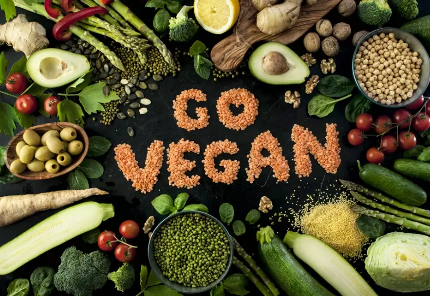 healthy vegan lifestyle healthy vegan lifestyle