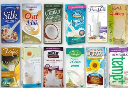 best dairy-free cheese best dairy-free cheese