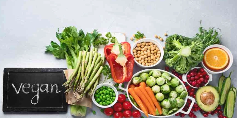 healthy vegan lifestyle healthy vegan lifestyle