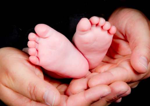 weekly pregnancy guide