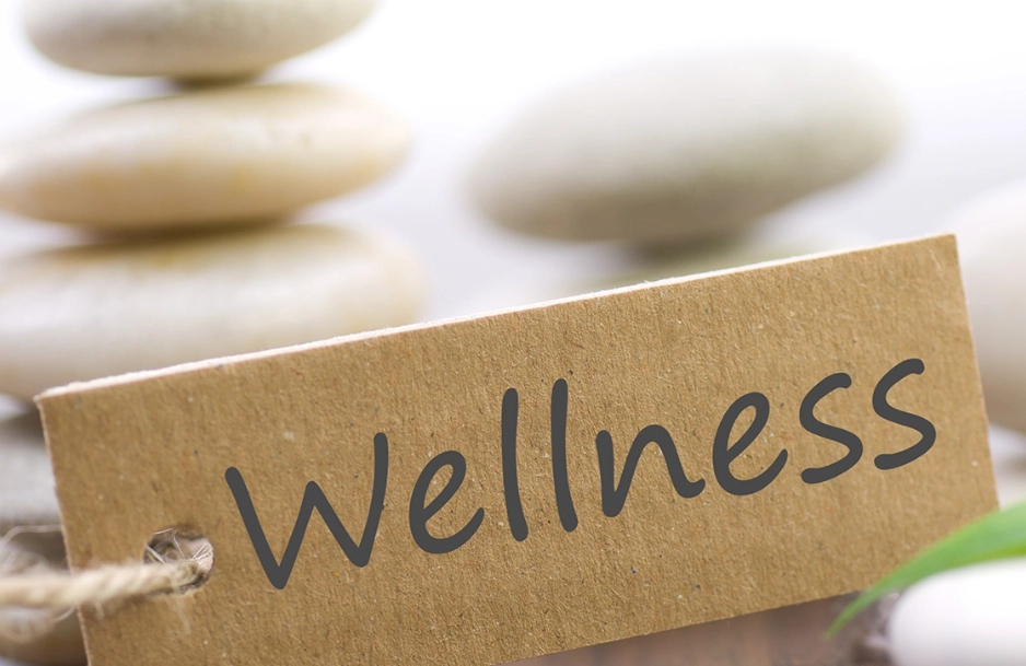 women's wellness guide