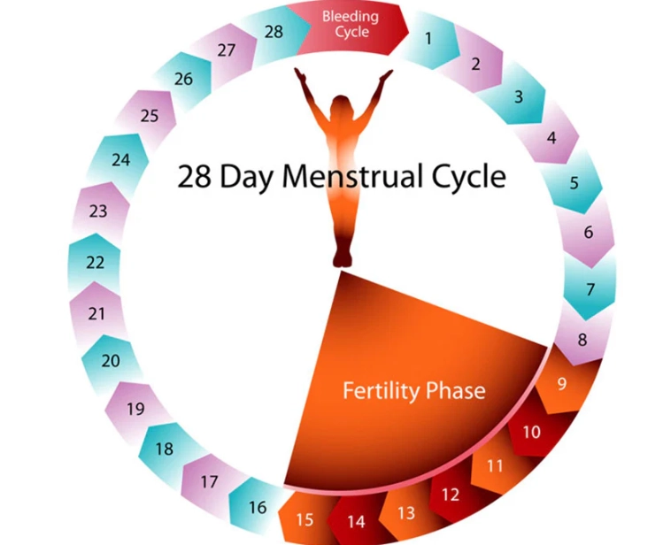 irregular menstrual cycle