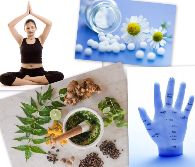 holistic health approach