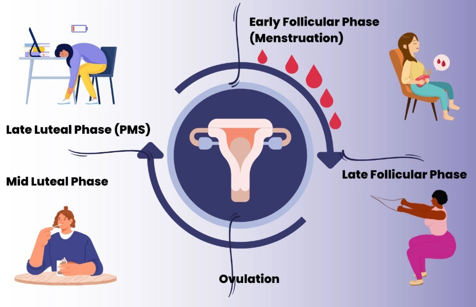 irregular menstrual cycle