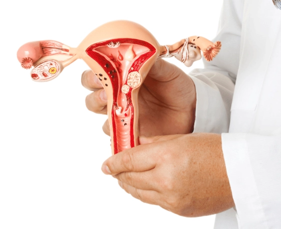 signs of endometriosis