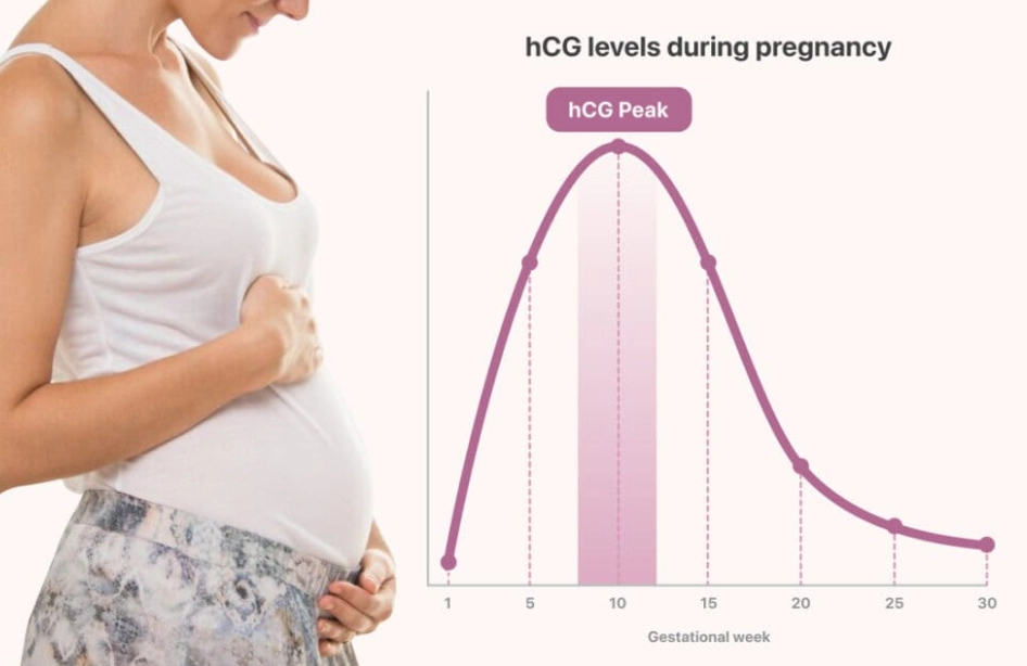 when to go to hospital for labor when to go to hospital for labor