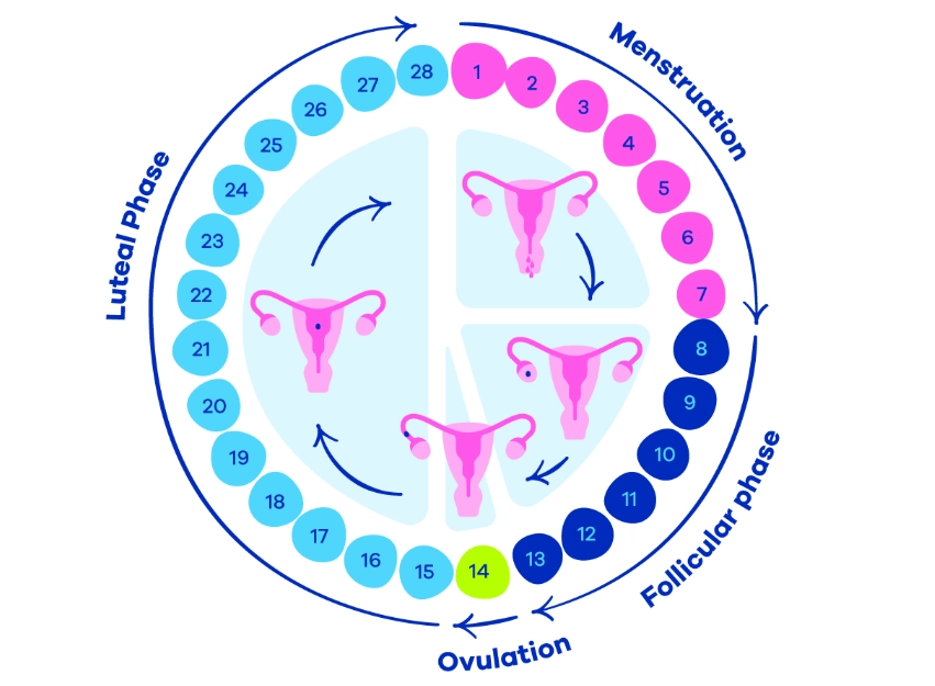 cycle tracking methods cycle tracking methods