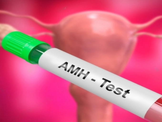 How do I know what phase of my cycle I am in?