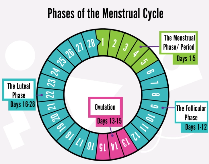cycle tracking methods cycle tracking methods