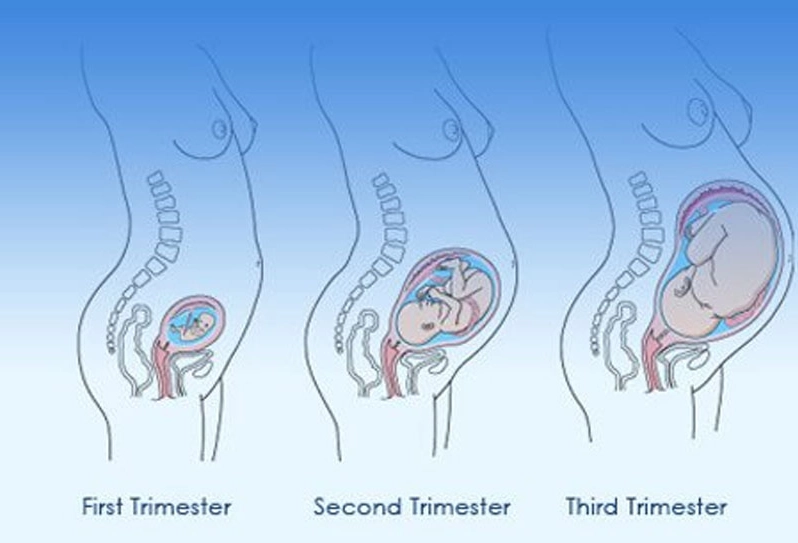 signs of active labor signs of active labor
