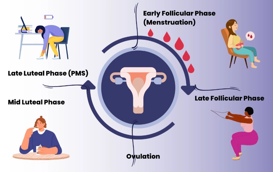 how to track ovulation how to track ovulation