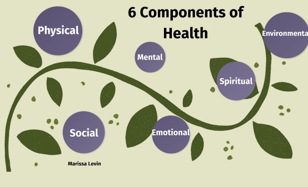 female wellness pillars female wellness pillars