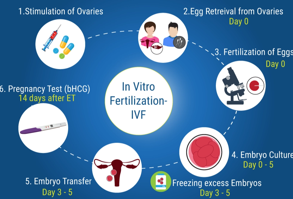 most successful infertility treatment