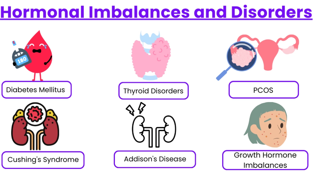 hormone imbalance treatment hormone imbalance treatment