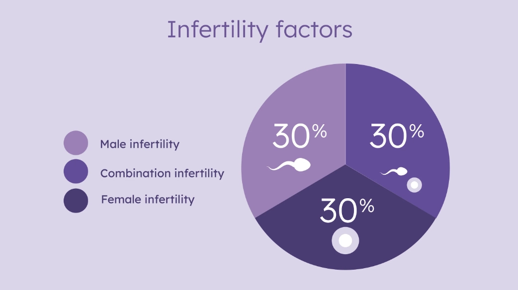 female fertility female fertility