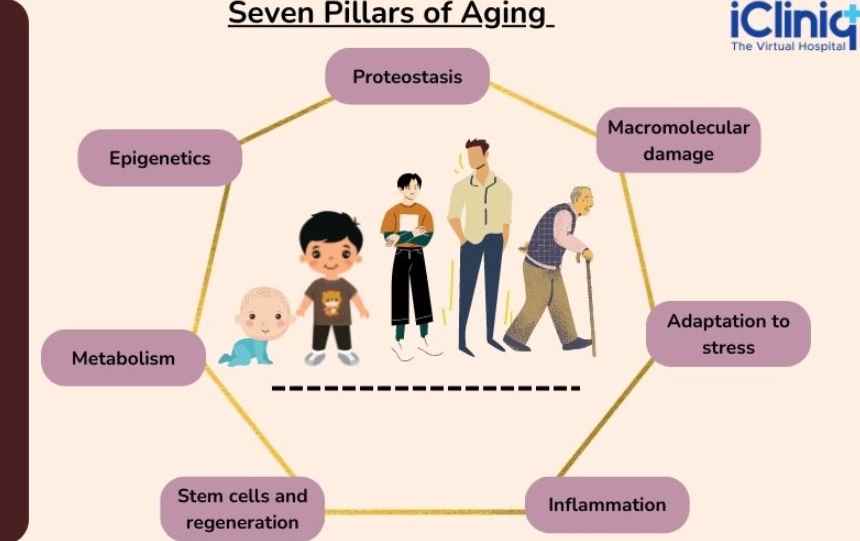 anti-aging pillars anti-aging pillars