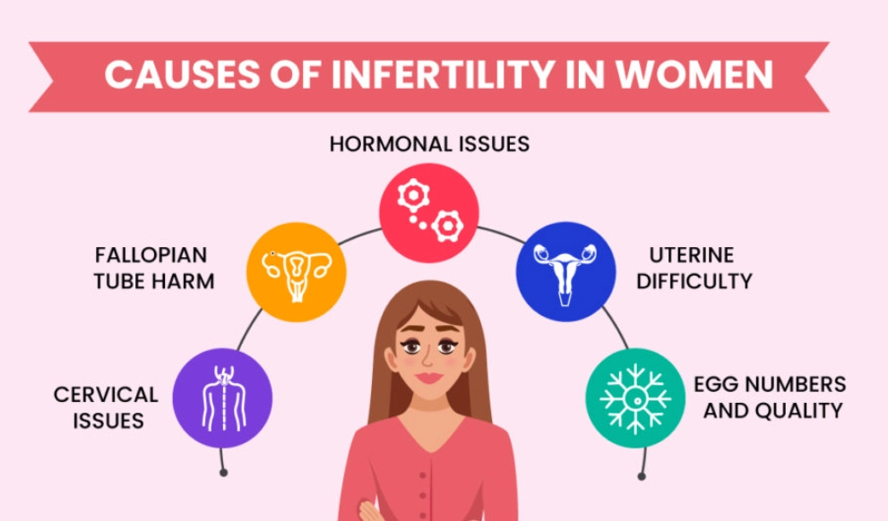 female infertility causes female infertility causes