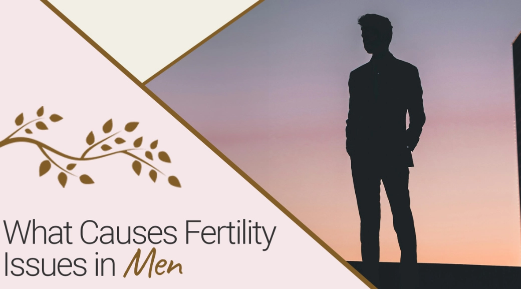 male infertility male infertility