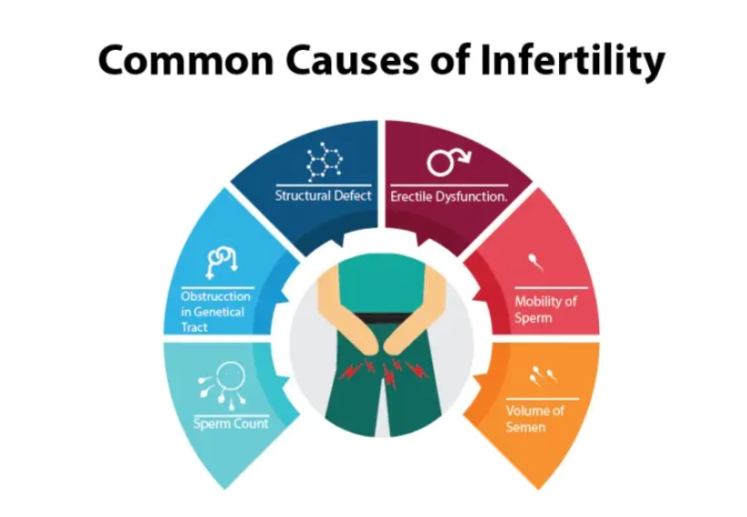 male infertility