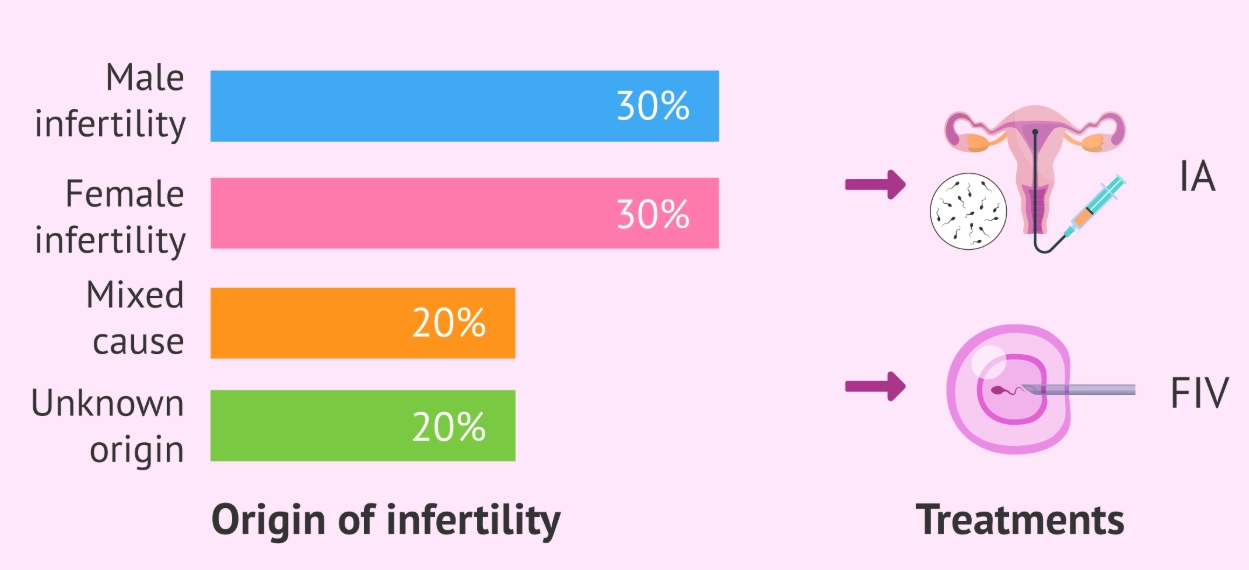 IVF success rates