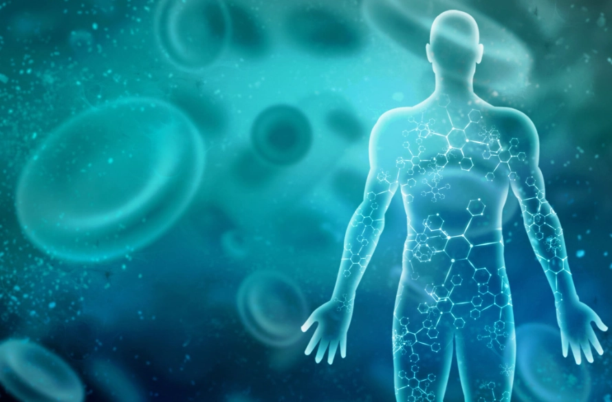 anti-aging pillars anti-aging pillars