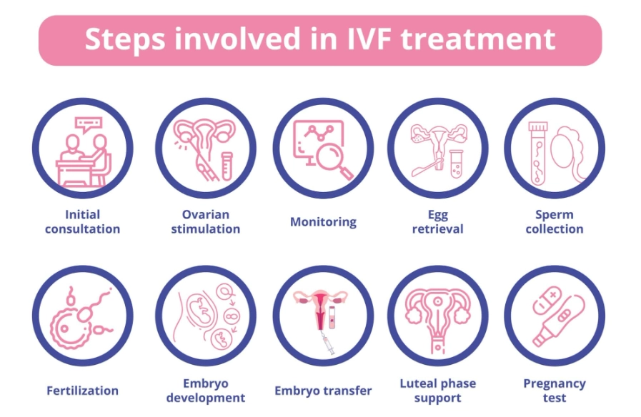 improve fertility naturally improve fertility naturally
