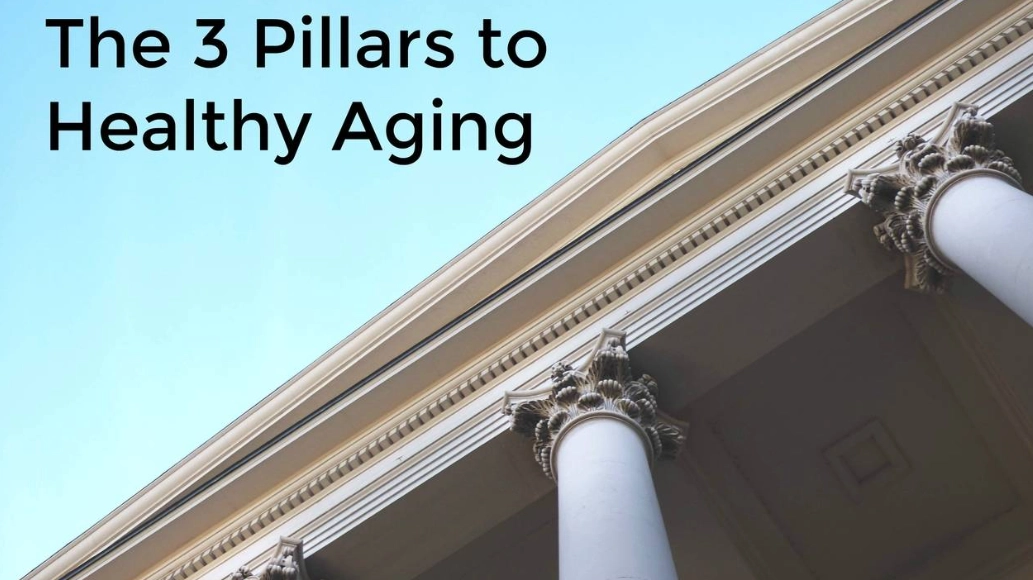 how to slow aging how to slow aging