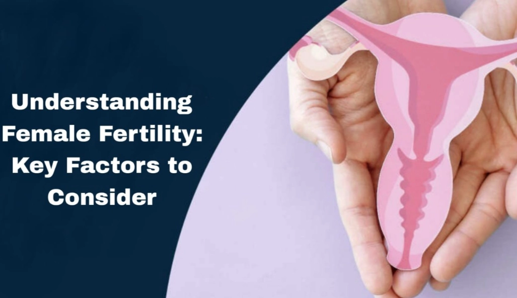 female fertility female fertility