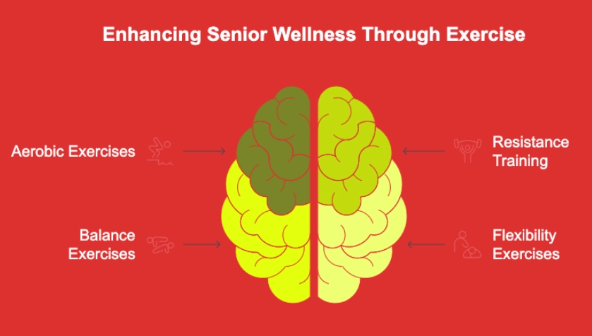 longevity lifestyle longevity lifestyle