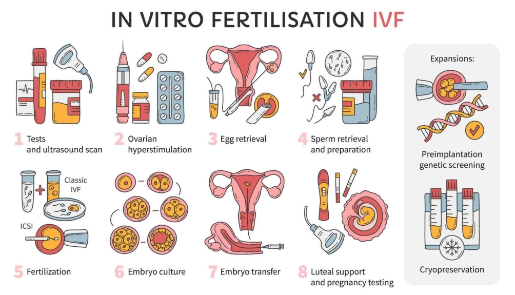 male infertility treatment