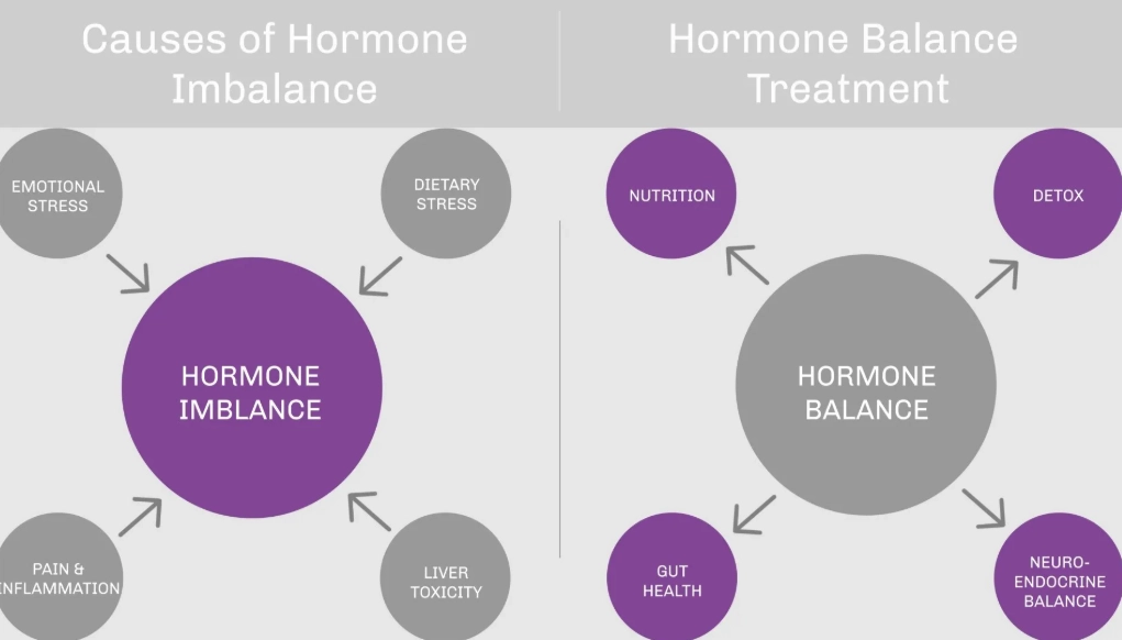 female hormones