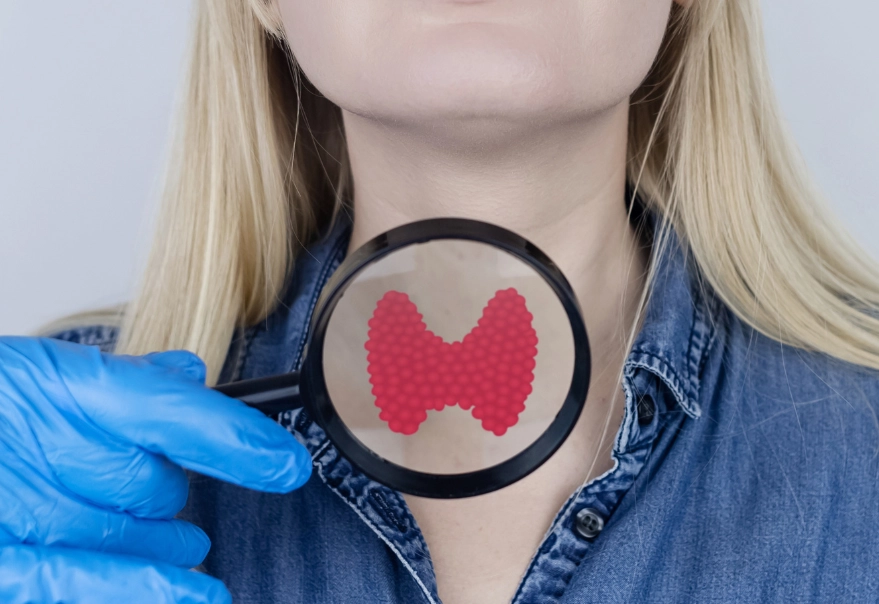 Why thyroid happens in female